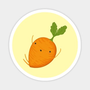 Carrot Magnet